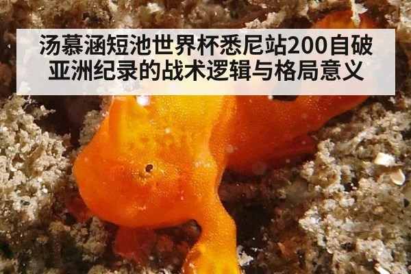 汤慕涵短池世界杯悉尼站200自破亚洲纪录的战术逻辑与格局意义